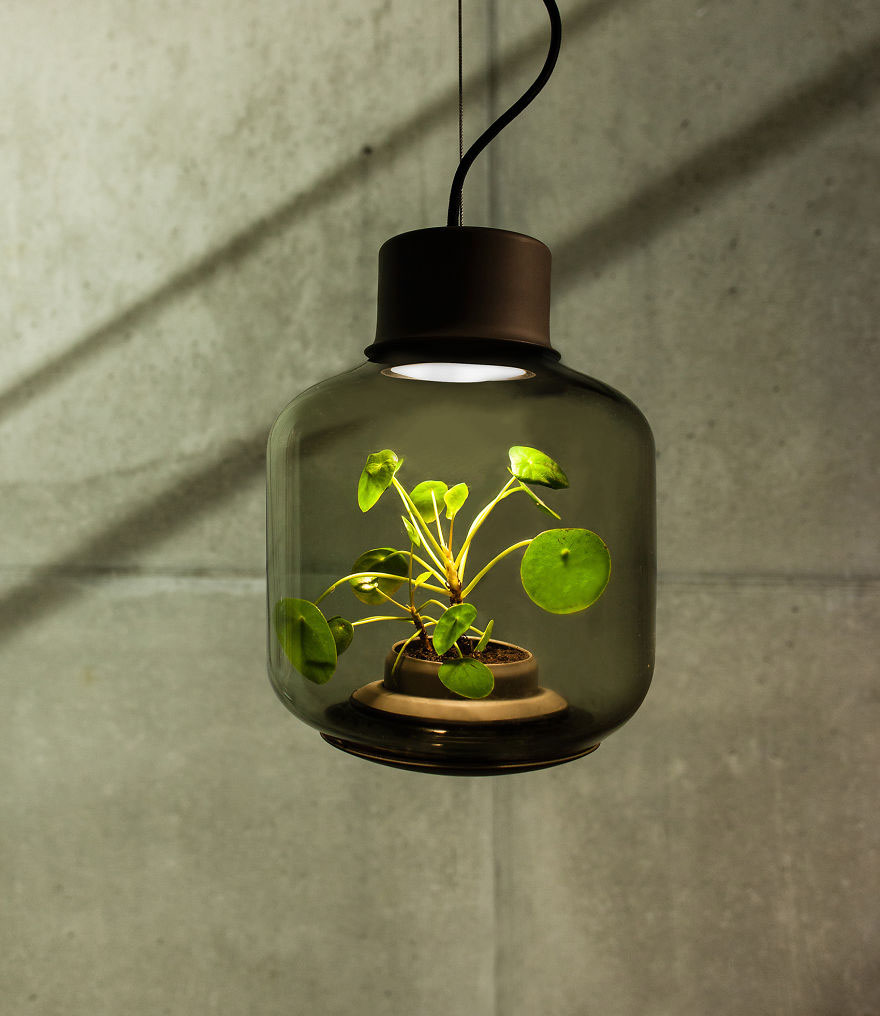 We-designed-these-lamps-to-grow-plants-in-windowless-spaces2__880