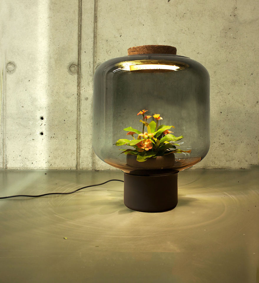 We-designed-these-lamps-to-grow-plants-in-windowless-spaces__880