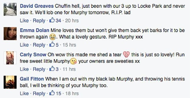Murphy_responses