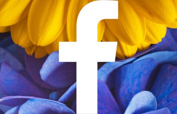 You can now send flowers to your mom via Facebook... well kinda.