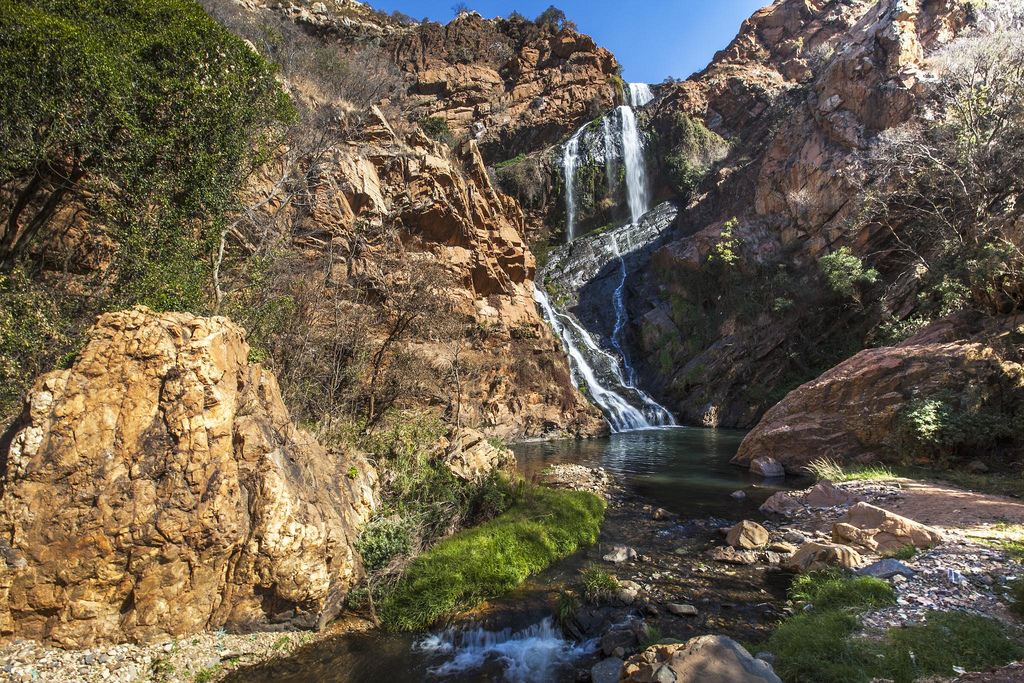 walter-sisulu-botanical-gardens