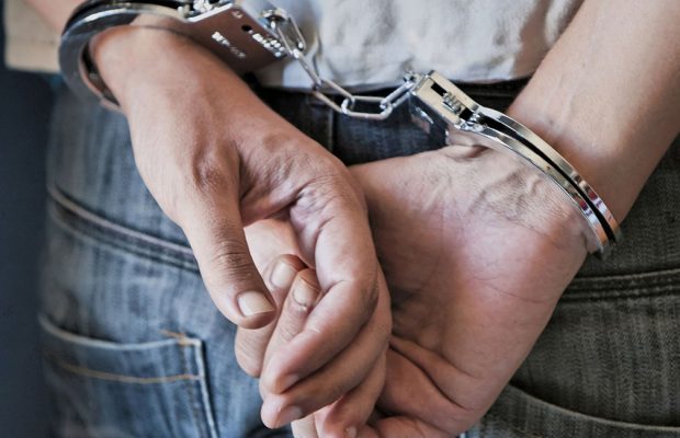 animal traffickers SAPS handcuffs