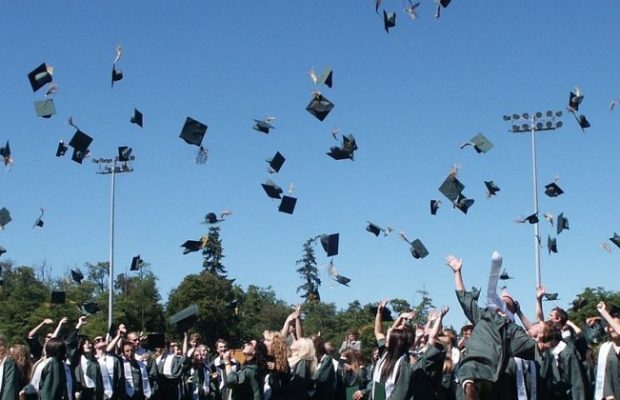honors degree biotechnology