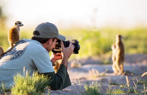 Wildlife photography