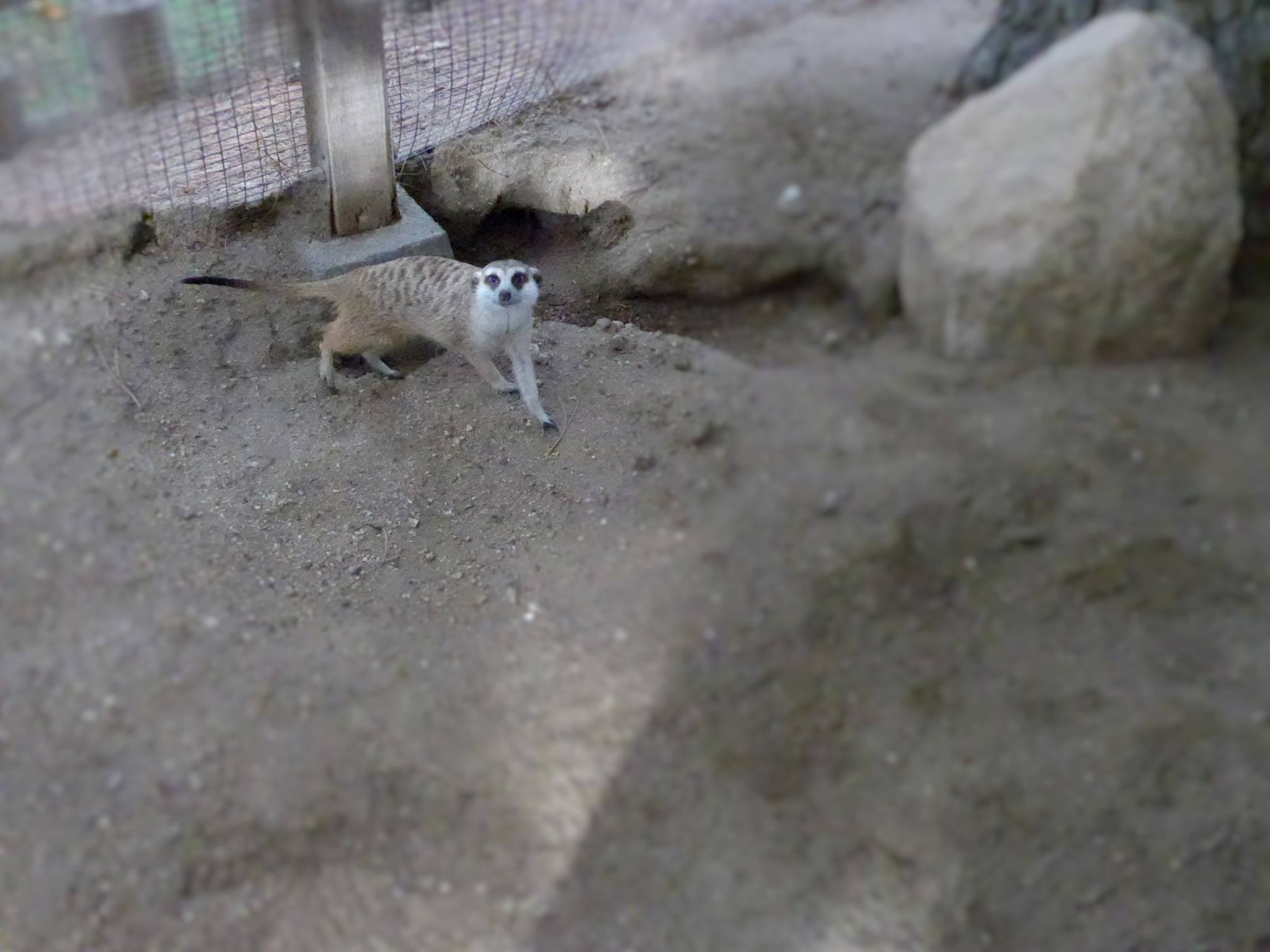 14884669_353873538279936_5916306184353735293_o