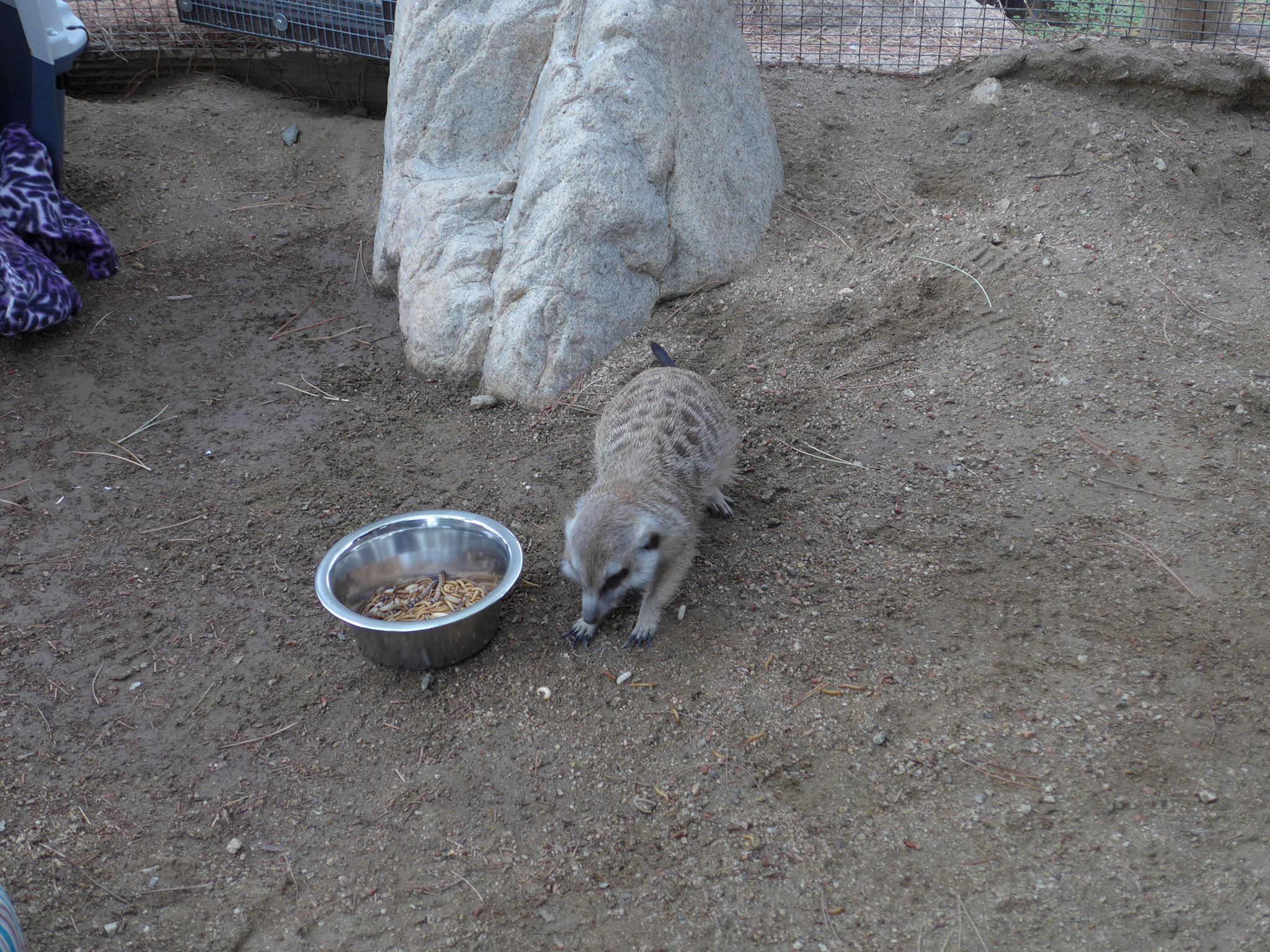 14889773_353872704946686_2379851567324514594_o