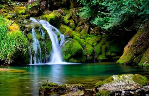 Environment Trees Waterfall Forest