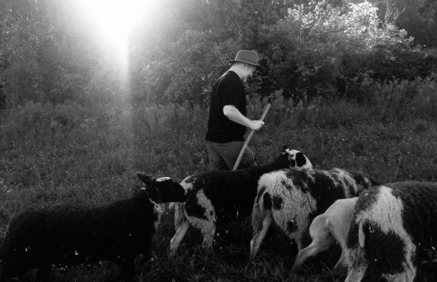 50-year-old barn dance