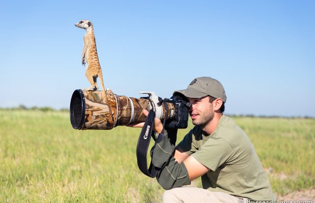 meerkats on camera lens