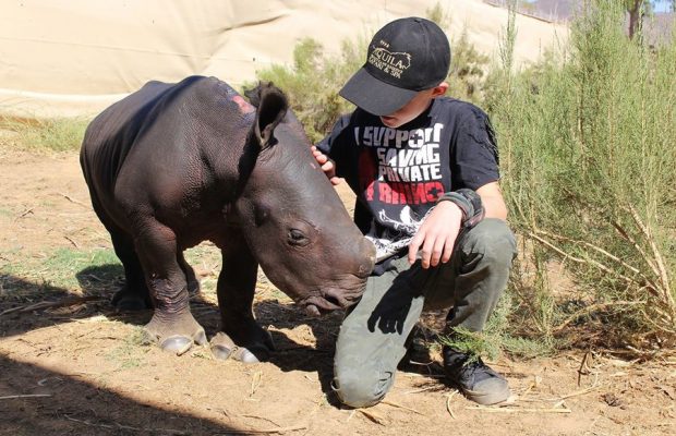 New baby Rhino