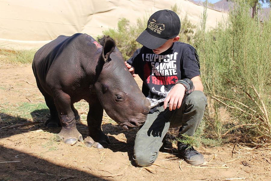 New baby Rhino