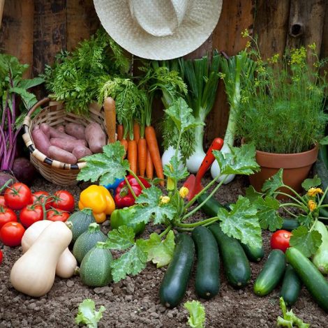 Harvest swap