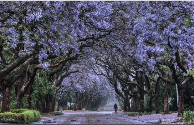 pretoria