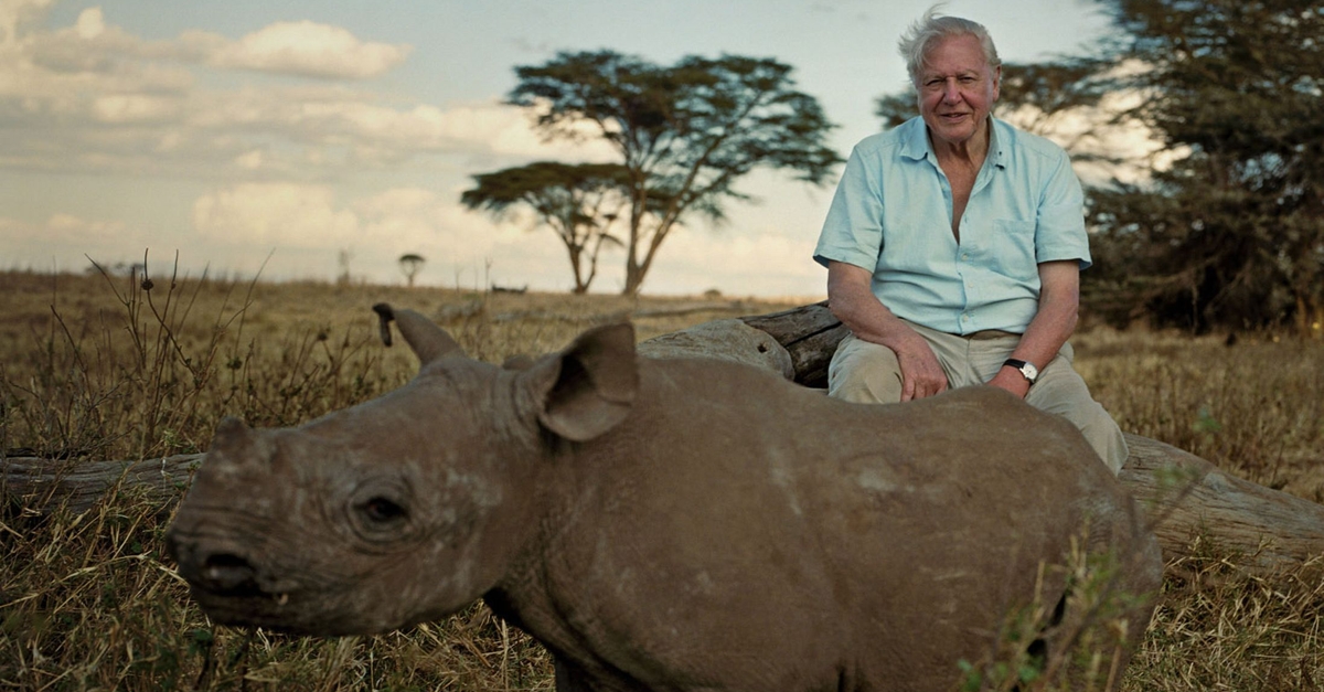 Watch David Attenborough's rendition of 'What a Wonderful World'