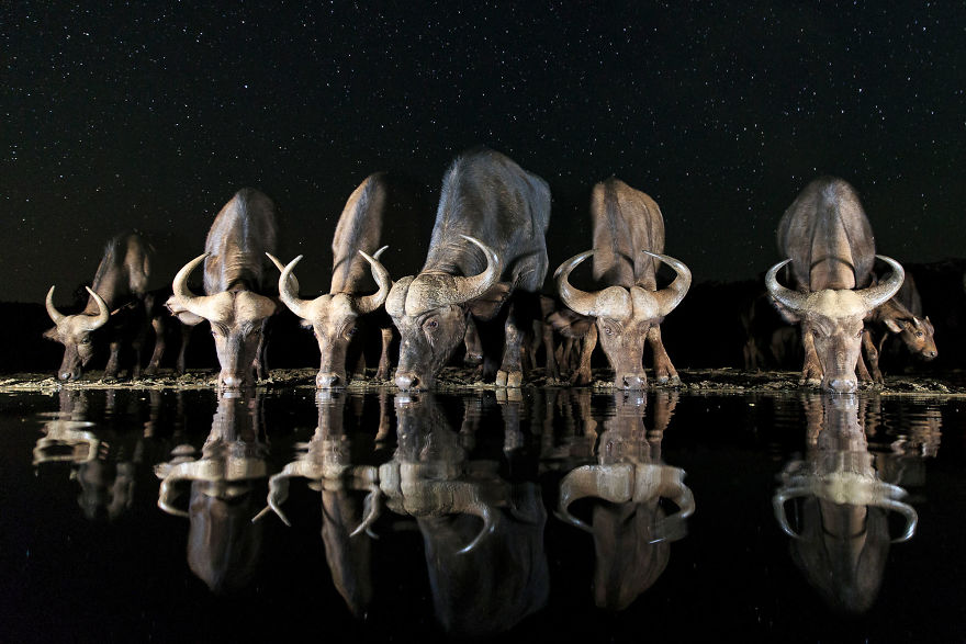 In Pictures: Africa features beautifully in the 2017 Sony World