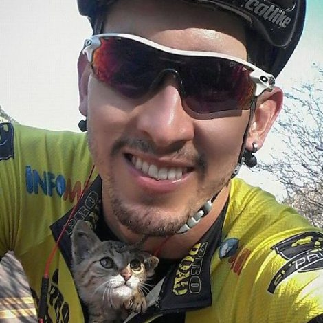 Kitten Kisses