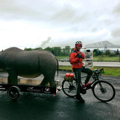 Rhino Ride