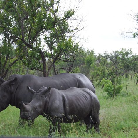 R3 million pledged