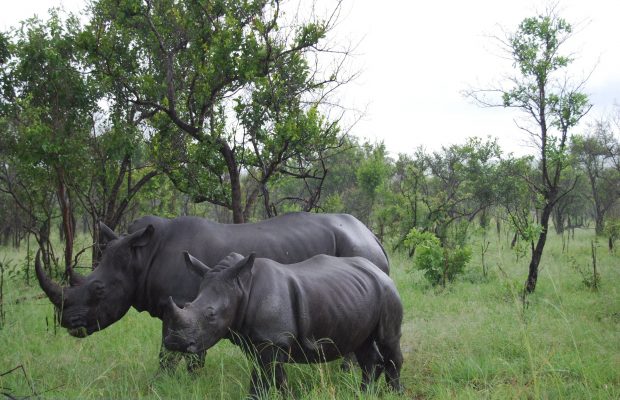 R3 million pledged