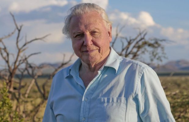 Sir David Attenborough