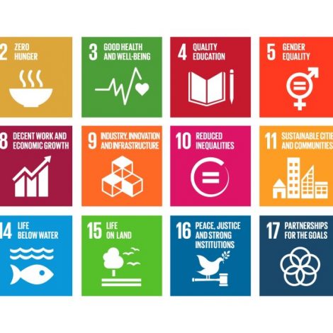 Sustainable Development Goals