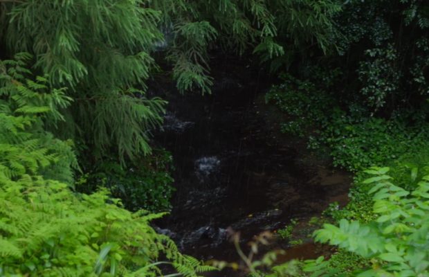 River Flowing