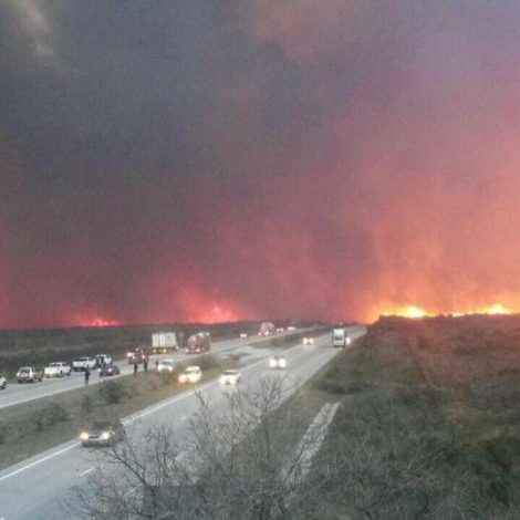 Port Elizabeth Fires