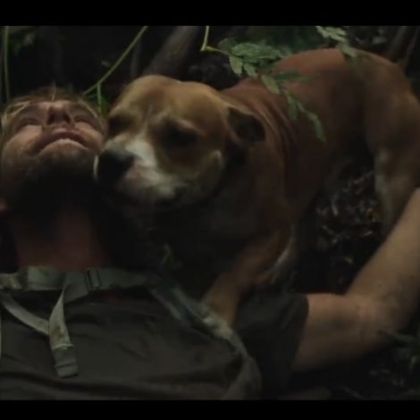 Favourite Advert
