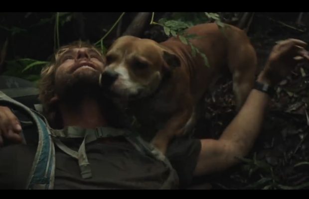 Favourite Advert