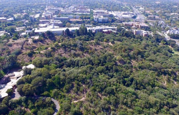 Park Green Spaces the Wilds