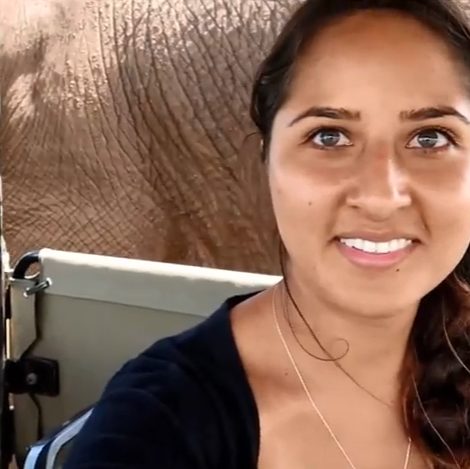 Close Elephant Encounter
