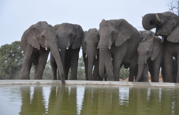 Game Lodge