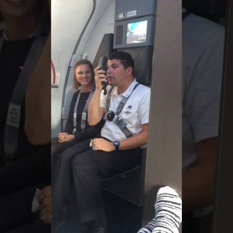 Looney Tunes Flight Attendant