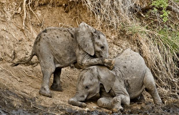 Singita Kruger National Park 07