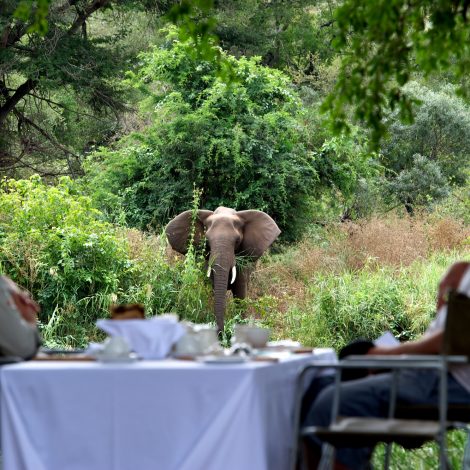 Singita Kruger National Park 07