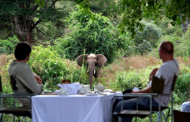 Singita Kruger National Park 07