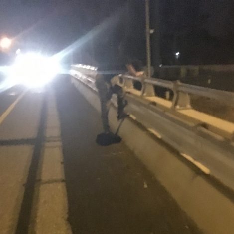 Spencer Kitson bridge Thanks