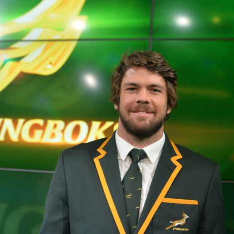 warren whiteley springbok