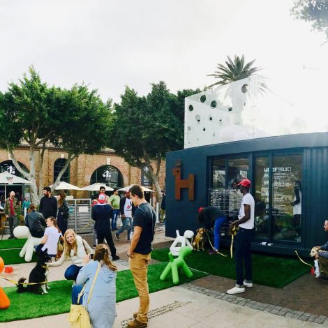 Woof Projects