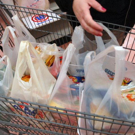 Plastic-Free Two Oceans Aquarium Bag Ban