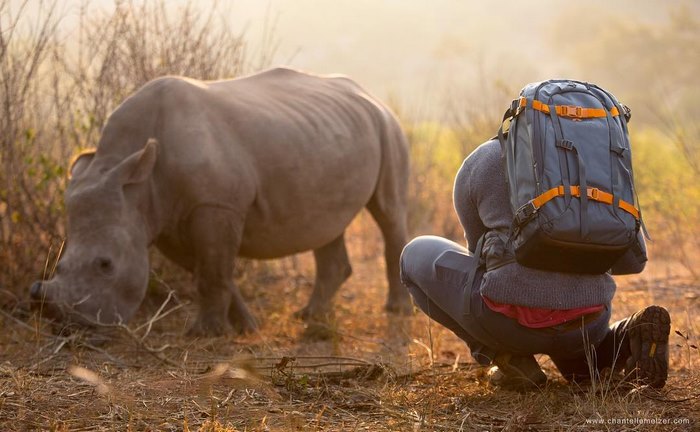 Rhino Belly Rubs