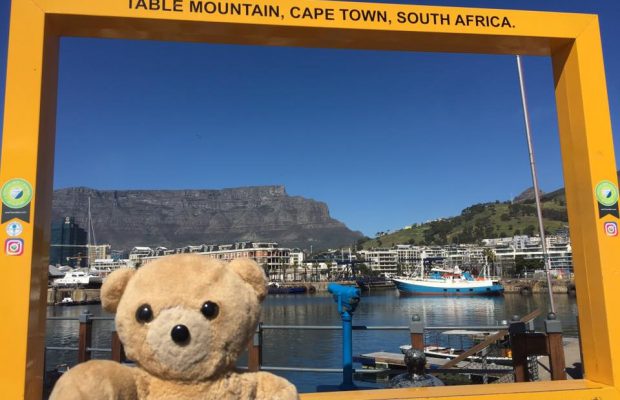 Bob the Bear