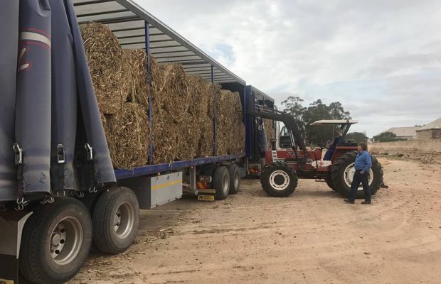 Farmers