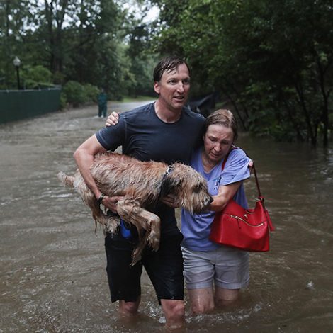 Hurricane Harvey