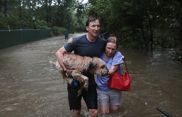 Hurricane Harvey