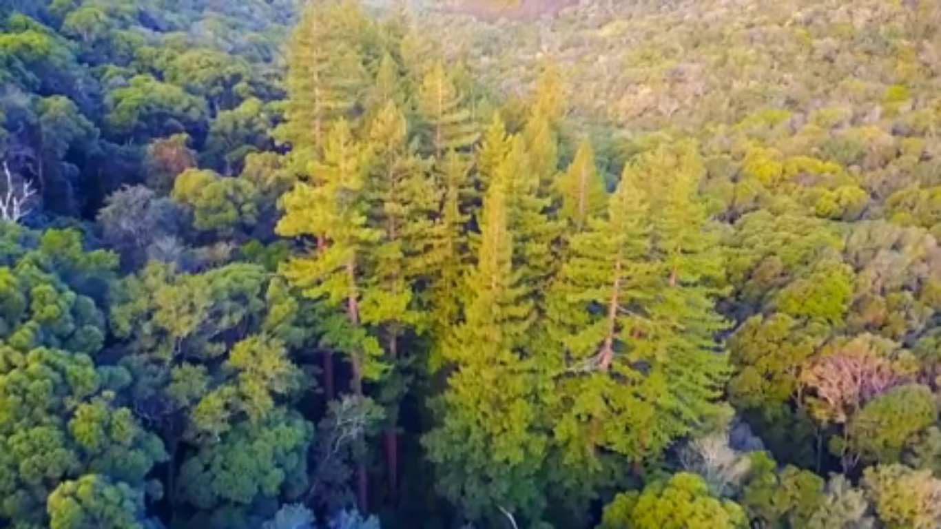 Watch: Breathtaking drone footage of South Africa’s forgotten Giant