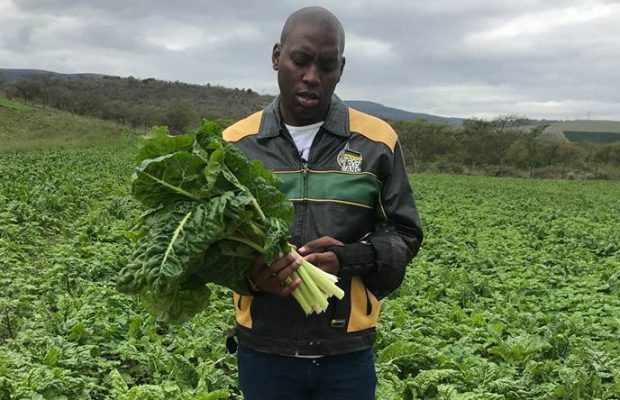 Durban Donation