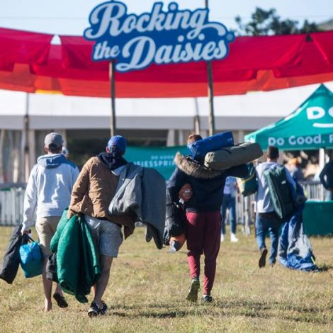Rocking the Daisies