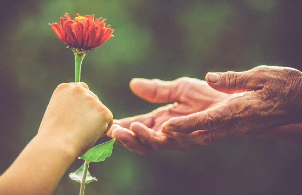 Promises world kindness day