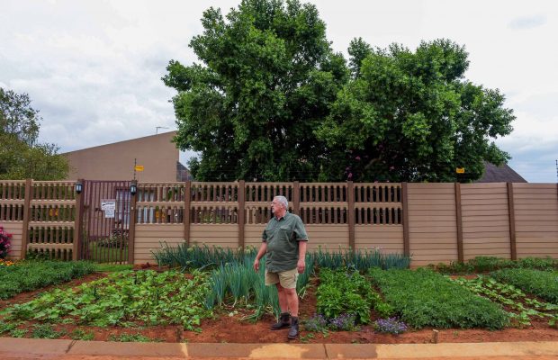 South African Cultivates Vegetable, How To Start A Vegetable Garden South Africa